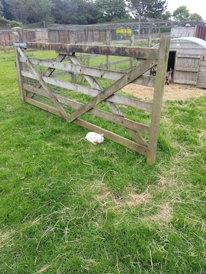 IMG_20130630_151843 (06-30-2013 15:18)