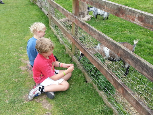 IMG_20130630_151911 (06-30-2013 15:19)