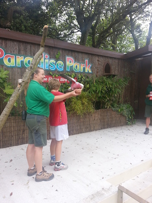 IMG_20130630_155904 (06-30-2013 15:59)