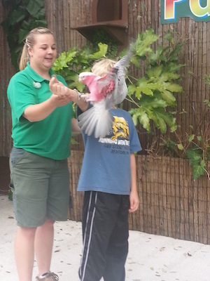 IMG_20130630_155931 (06-30-2013 15:59)