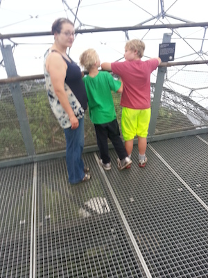 IMG_20130702_152445 (07-02-2013 15:24)