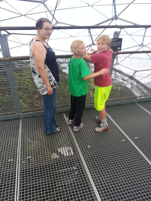 IMG_20130702_152446 (07-02-2013 15:24)