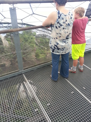 IMG_20130702_152504 (07-02-2013 15:25)