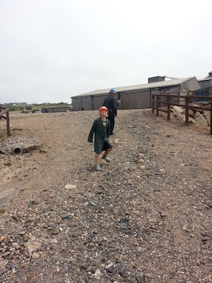 IMG_20130704_131335 (07-04-2013 13:13)