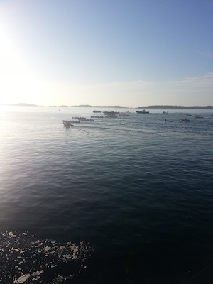 IMG_20130705_200814 (07-05-2013 20:08)