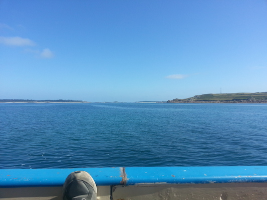 IMG_20130706_102205 (07-06-2013 10:22)