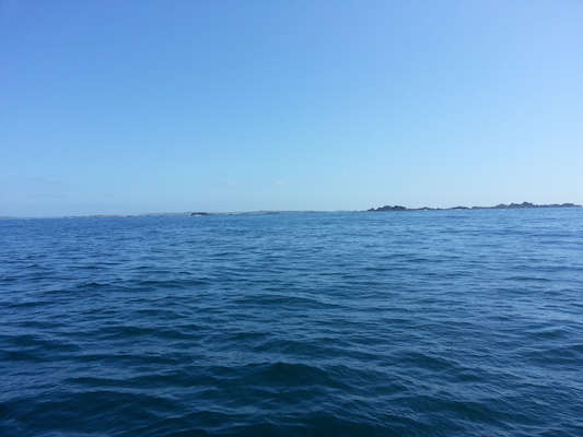 IMG_20130706_115052 (07-06-2013 11:50)