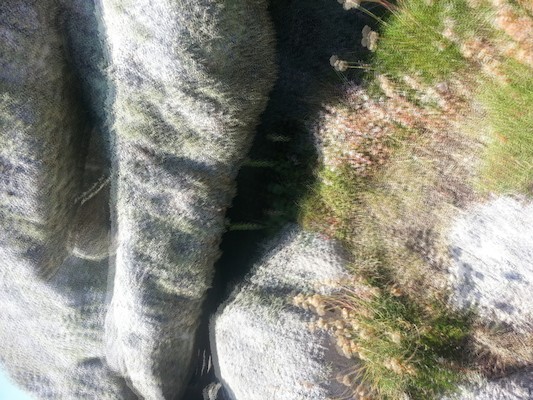 IMG_20130706_140838_1 (10-20-2013 08:14)