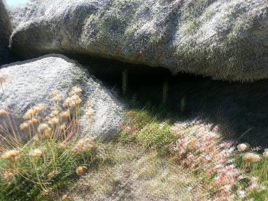 IMG_20130706_140904_1 (10-20-2013 08:14)