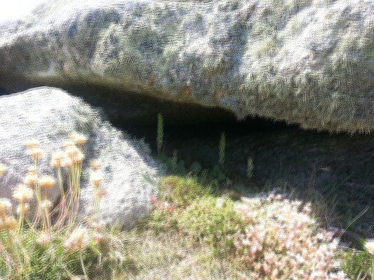 IMG_20130706_140922_1 (10-20-2013 08:14)