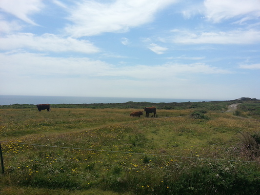 IMG_20130707_112411 (07-07-2013 11:24)