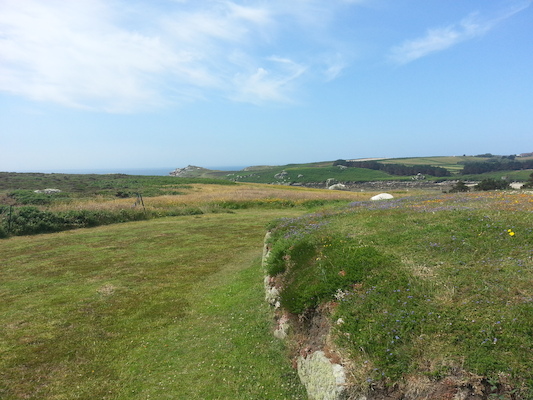 IMG_20130707_112534 (07-07-2013 11:25)