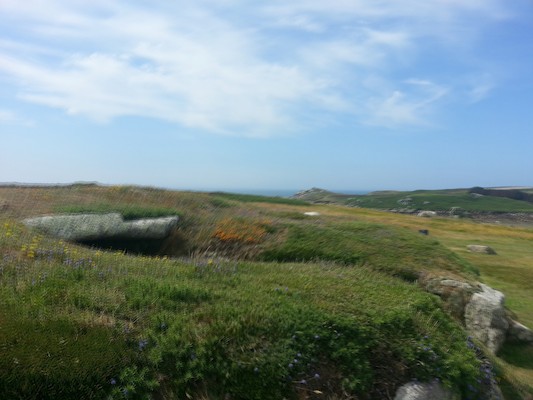 IMG_20130707_112558_1 (10-20-2013 08:14)