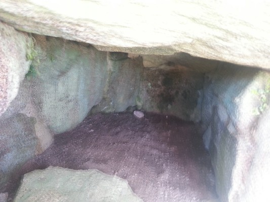 IMG_20130707_112641_1 (10-20-2013 08:14)