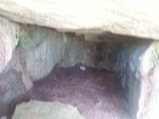 IMG_20130707_112658_1 (10-20-2013 08:14)