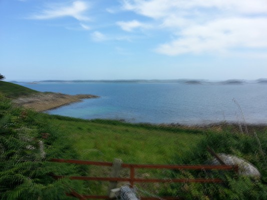 IMG_20130707_123056_1 (10-20-2013 08:14)