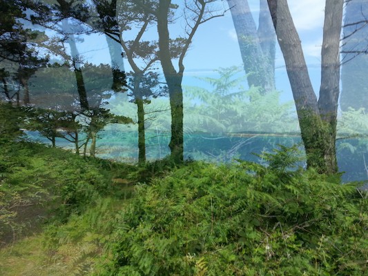 IMG_20130707_125454_1 (10-20-2013 08:14)