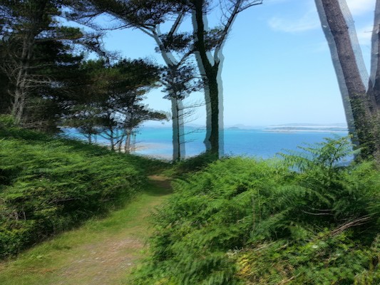 IMG_20130707_125518_1 (10-20-2013 08:14)