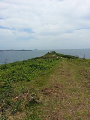 IMG_20130707_125632 (07-07-2013 12:56)