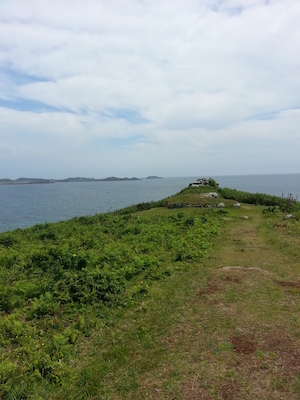 IMG_20130707_125638 (07-07-2013 12:56)