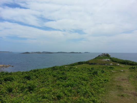 IMG_20130707_125645 (07-07-2013 12:56)