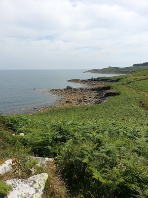 IMG_20130707_130540 (07-07-2013 13:05)