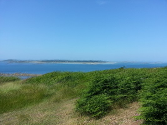 IMG_20130707_133651_1 (10-20-2013 08:14)