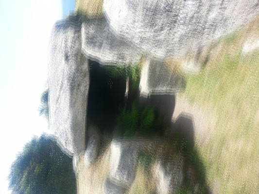 IMG_20130707_134529_1 (10-20-2013 08:14)