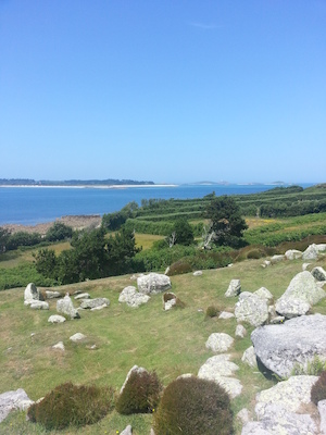 IMG_20130707_135013 (07-07-2013 13:50)