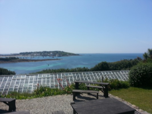 IMG_20130707_141401_1 (10-20-2013 08:14)