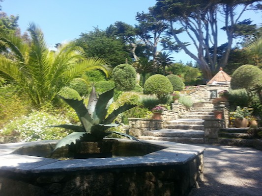 IMG_20130708_111749_1 (10-20-2013 08:14)