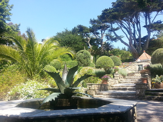 IMG_20130708_111822 (07-08-2013 11:18)