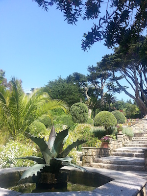 IMG_20130708_111834 (07-08-2013 11:18)