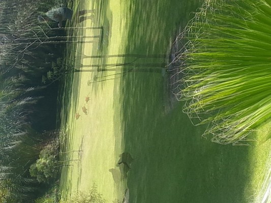 IMG_20130708_112511_1 (10-20-2013 08:14)