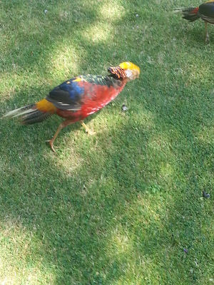 IMG_20130708_112553 (07-08-2013 11:25)