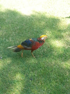 IMG_20130708_112555 (07-08-2013 11:25)