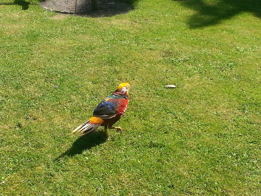 IMG_20130708_112600 (07-08-2013 11:26)