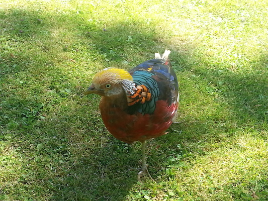 IMG_20130708_112604 (07-08-2013 11:26)