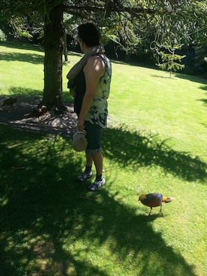 IMG_20130708_112710 (07-08-2013 11:27)