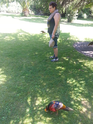 IMG_20130708_112720 (07-08-2013 11:27)