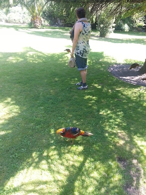 IMG_20130708_112724 (07-08-2013 11:27)