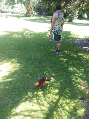 IMG_20130708_112727 (07-08-2013 11:27)