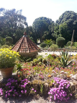 IMG_20130708_113304 (07-08-2013 11:33)