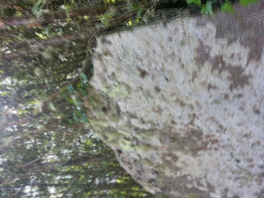 IMG_20130708_120015_1 (10-20-2013 08:14)