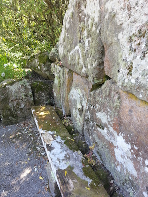 IMG_20130708_120032 (07-08-2013 12:00)