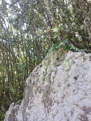 IMG_20130708_120038 (07-08-2013 12:00)