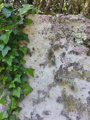 IMG_20130708_120043 (07-08-2013 12:00)