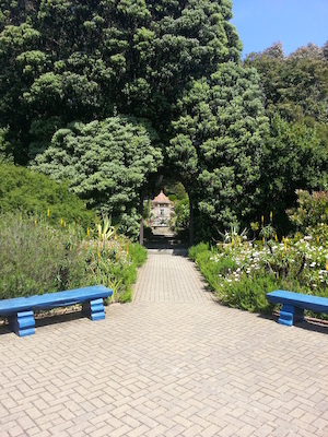 IMG_20130708_121130 (07-08-2013 12:11)