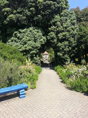 IMG_20130708_121132 (07-08-2013 12:11)