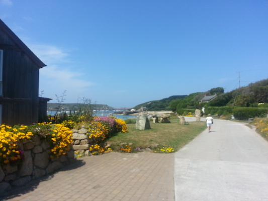 IMG_20130708_132605 (07-08-2013 13:26)